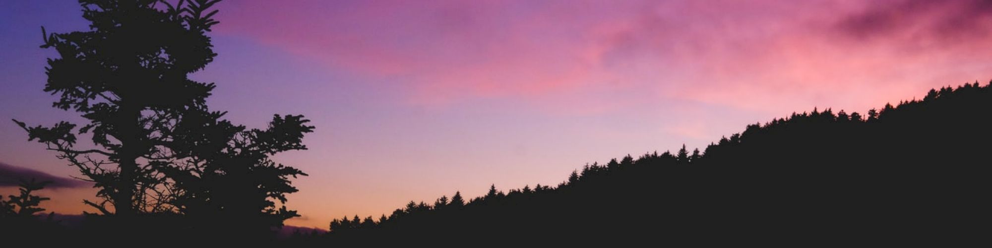 A silhouetted tree stands against a vibrant twilight sky with hues of purple, pink, and orange, behind a darkened forested hill.