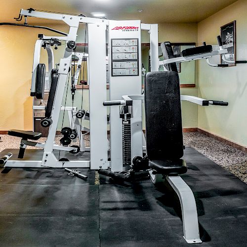 The image shows a home gym with various exercise equipment, including a multi-station machine, exercise bike, and wall-mounted items.
