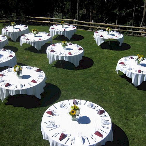 The image shows round tables set up outside on a green lawn. Each table has a white tablecloth, utensils, napkins, and a floral centerpiece.