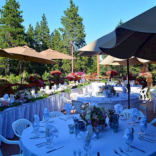 The image shows an outdoor event setup with round tables, white chairs, flowers, and large umbrellas among pine trees under a clear blue sky.