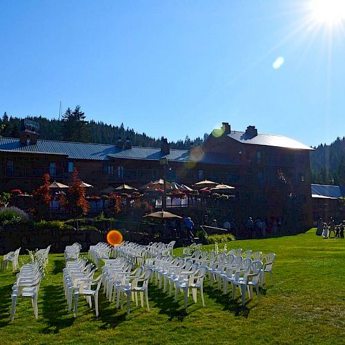 Rows of white chairs are set up on a grassy lawn under the sun, with a building and umbrellas in the background.