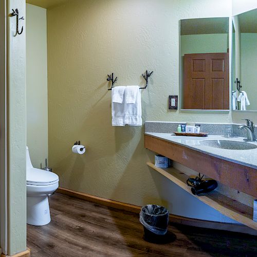 A bathroom with a toilet, shower, towel racks, waste bin, large mirror, and counter space with a sink and toiletries is shown.