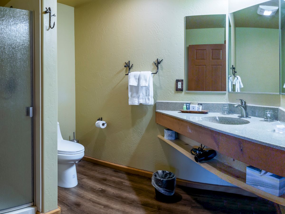 This image shows a bathroom with a shower, toilet, towel rack, sink, and a large mirror, all on a wooden floor.