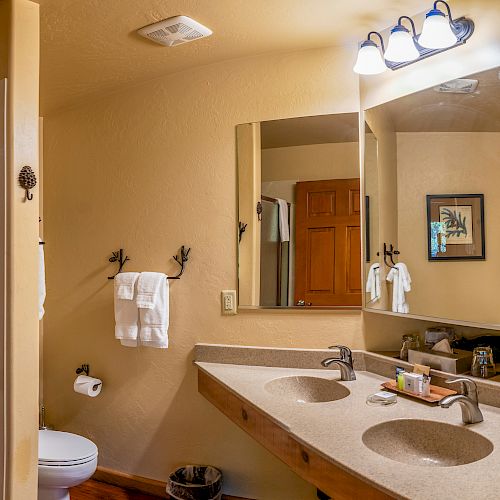 A bathroom with a double sink vanity, large mirror, shower, toilet, and towel hangers with towels. The wall is adorned with a framed picture.