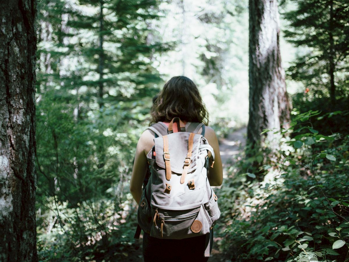 Person with a backpack walking through a lush forested area, surrounded by tall trees and greenery, seemingly on a hiking trail.