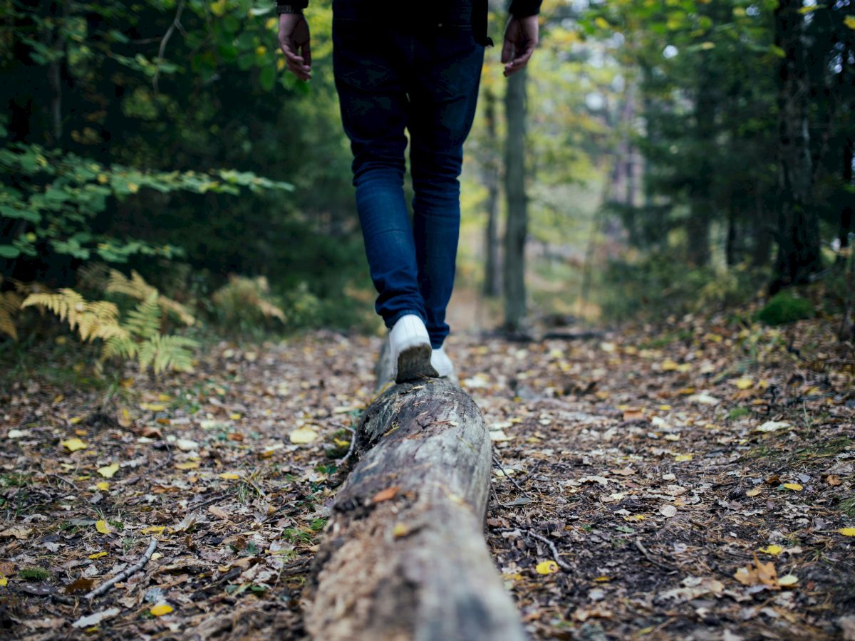 A person in jeans and white shoes walks on a fallen log in a forest, surrounded by trees and autumn leaves on the ground.