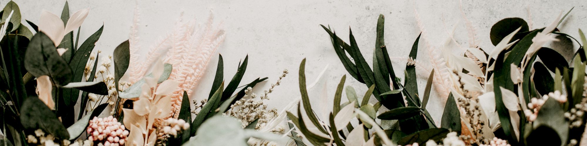 The image shows an arrangement of various green leaves and light-colored flowers against a light background.