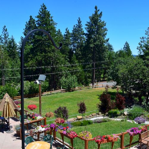A landscaped garden with vibrant flowers is surrounded by trees under a clear blue sky.