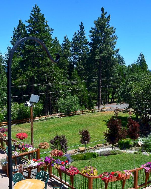 A landscaped garden with vibrant flowers is surrounded by trees under a clear blue sky.