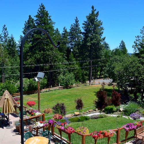 The image shows a landscaped garden with vibrant flowers, a grassy lawn, seating areas, and a backdrop of tall pine trees under a clear blue sky.